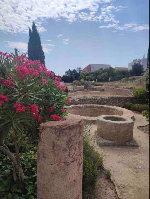 Soleil Sucre T2 Centre Historique De Narbonne Apartment Екстериор снимка