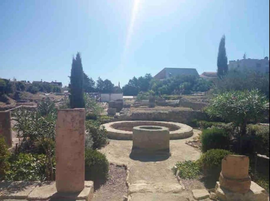 Soleil Sucre T2 Centre Historique De Narbonne Apartment Екстериор снимка