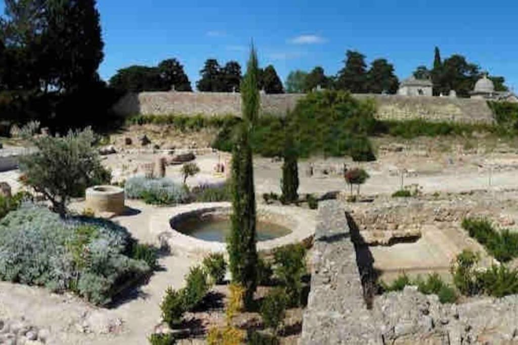 Soleil Sucre T2 Centre Historique De Narbonne Apartment Екстериор снимка