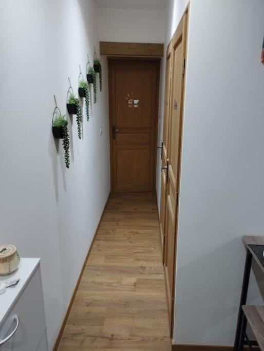 Soleil Sucre T2 Centre Historique De Narbonne Apartment Екстериор снимка